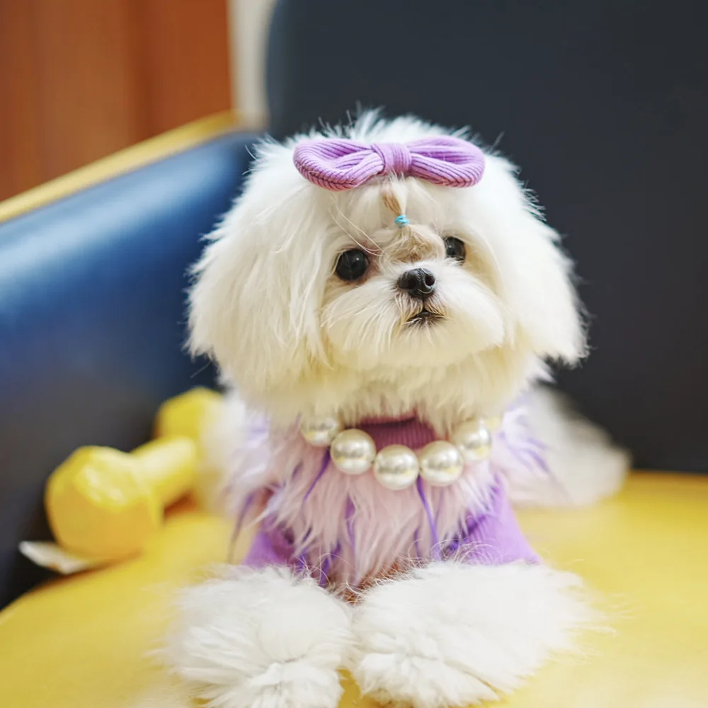 Ropa de piel de lujo para mascotas, chaleco de princesa, suéter cálido para perros, gato, cachorro, maltés, Yorkshire, empalme falso de dos piezas, invierno, nuevo - imagen 4