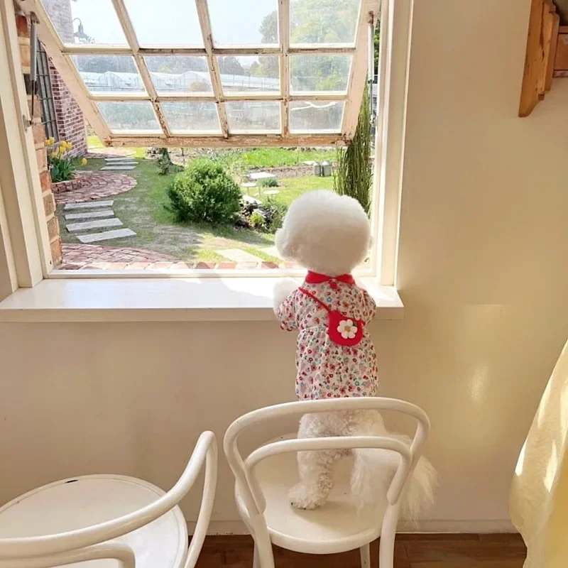 Sin bolsa, falda para perro mascota femenina, ropa fina de verano para perros pequeños, vestido Floral con estampado completo de peluche, vestido de princesa de flores, Jersey bonito - imagen 5