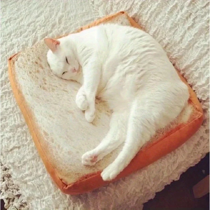 Concha de cuero con cojín para tostadas, cama para mascotas con diseño creativo de tostadas, estera suave para dormir para gatos de interior