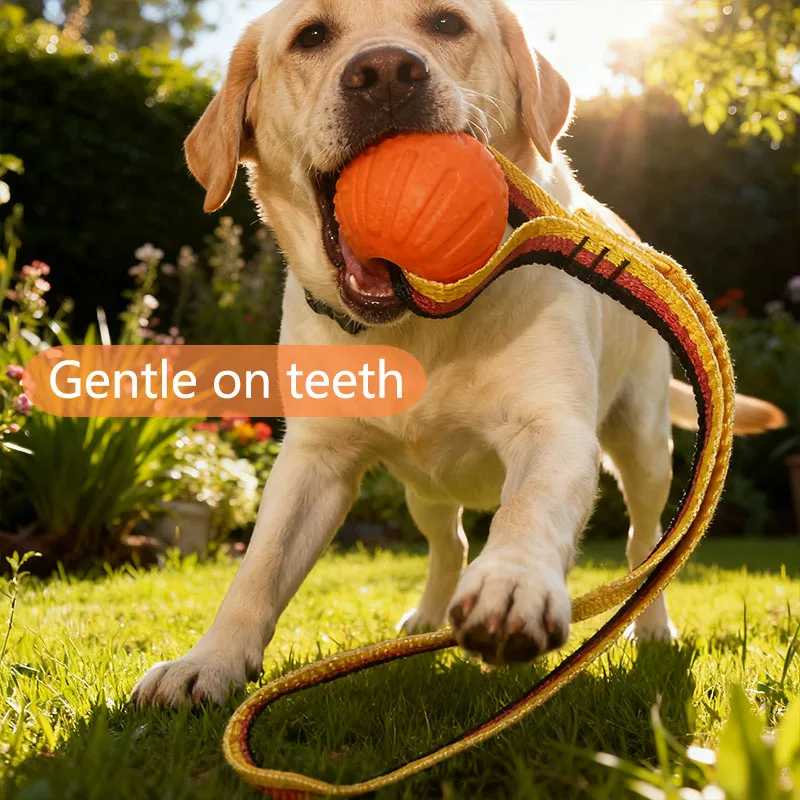 Divertido juguete de bola hueca de Eva para mascotas, juguetes resistentes para perros, juguete foño seguro para perros, adecuado para perros grandes, medianos y pequeños
