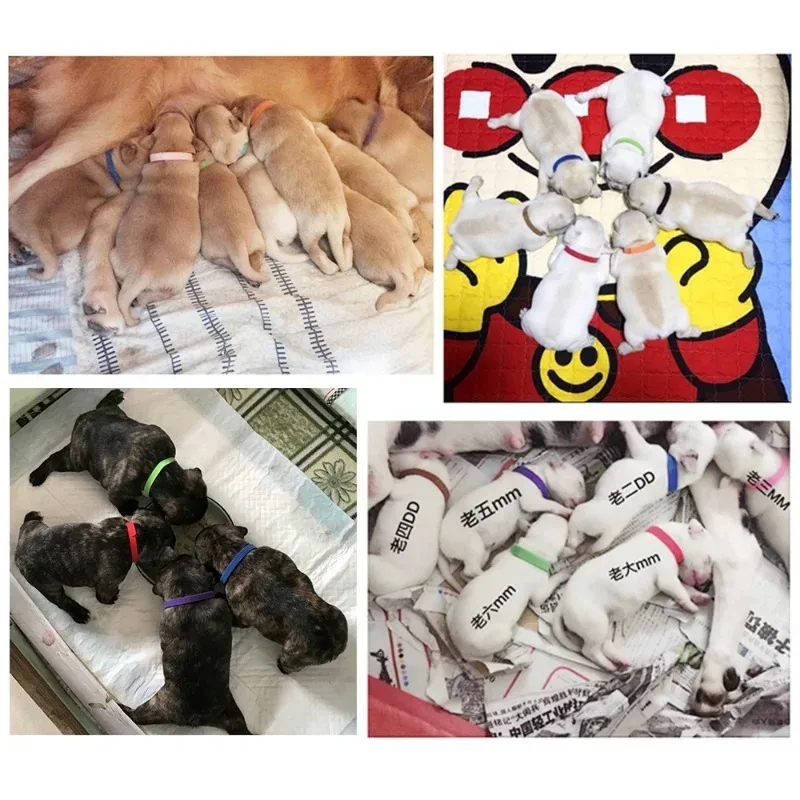 Collar de clasificación para mascotas, Collar de identificación para cachorros y gatitos, Collar de nacimiento para perros y gatos recién nacidos, suministros suaves para mascotas cortables - imagen 3
