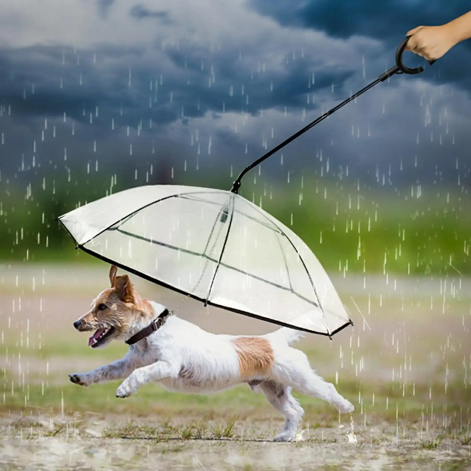 Dog Umbrella with Leash Dog Dry Walking Waterproof Sleet Snow Rain Raincoats