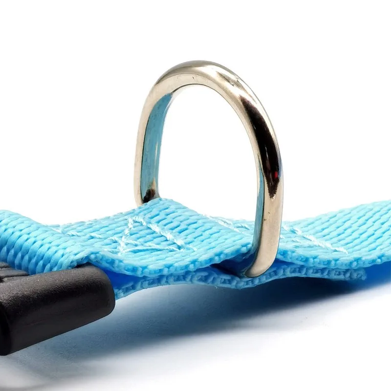 Collar de nailon para perro y gato, accesorio de entrenamiento, productos para mascotas - imagen 3