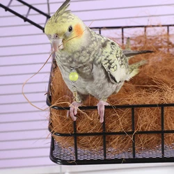 Nido colgante para loros y cacatúas – Cama juguete