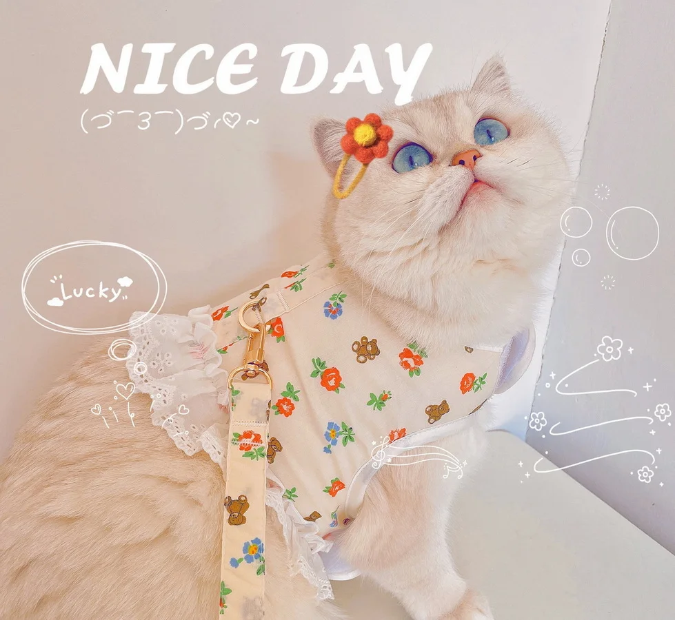 Conjunto de arnés con correa para perro y gato, chaleco de arnés Floral de encaje ajustable para mascotas, vestido de princesa para cachorros, falda para caminar, plomo para Chihuahua y Pug - imagen 4