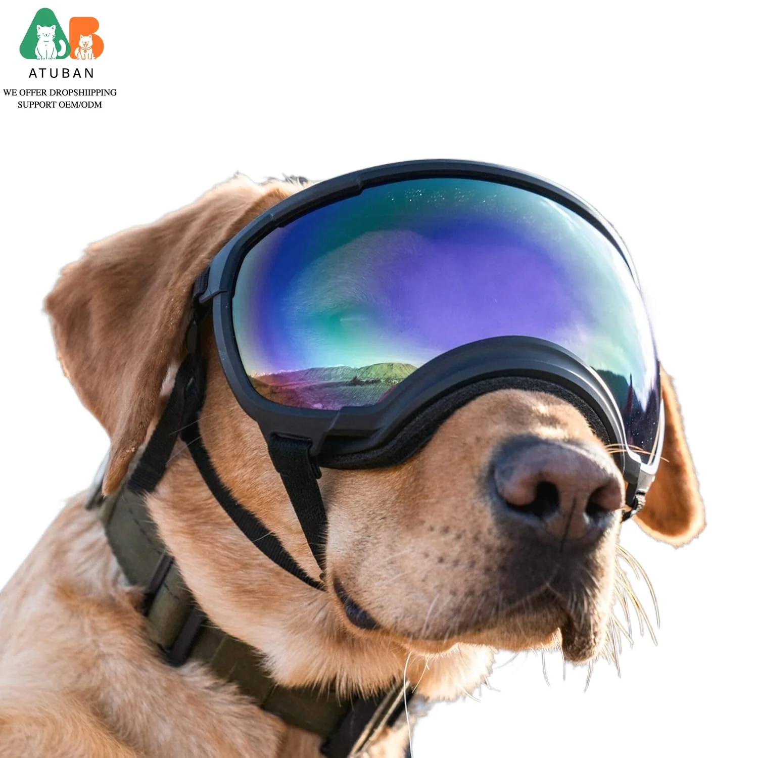 Gafas para perros Gafas de sol para perros Gafas de esquí para perros con protección UV Gafas de sol para mascotas con correa ajustable para viajes