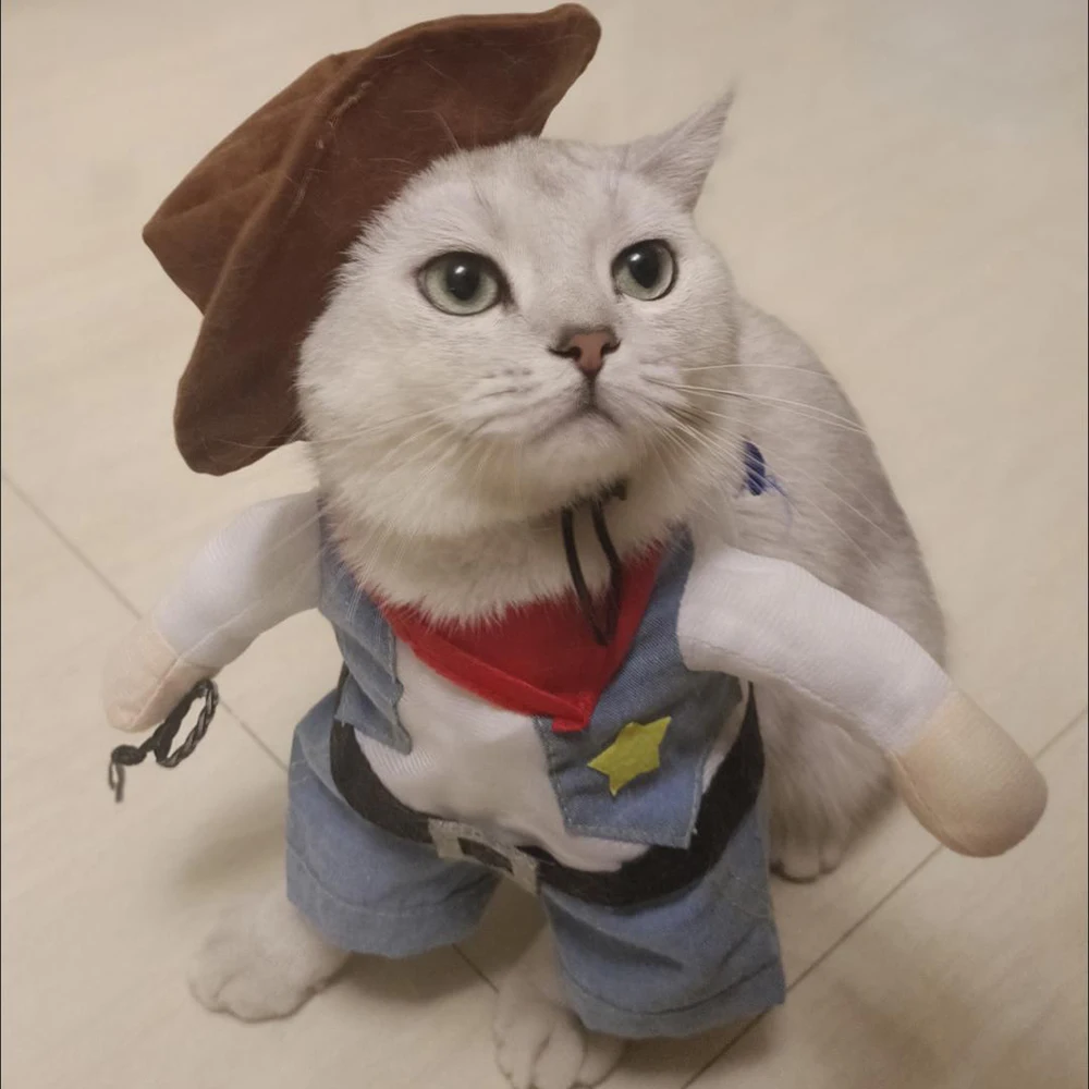 Ropa divertida para Gato, disfraz de vaquero para Halloween, disfraz de Cosplay para perros pequeños, gatos, cachorros, novedad creativa, trajes de vestir para gatitos - imagen 4