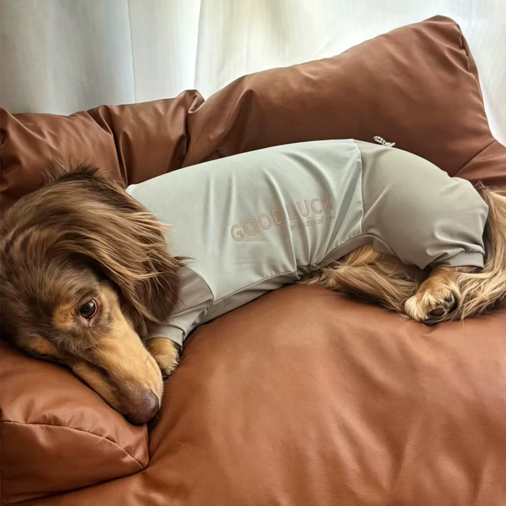 Camiseta transpirable para perro salchicha con espalda ajustable - imagen 4