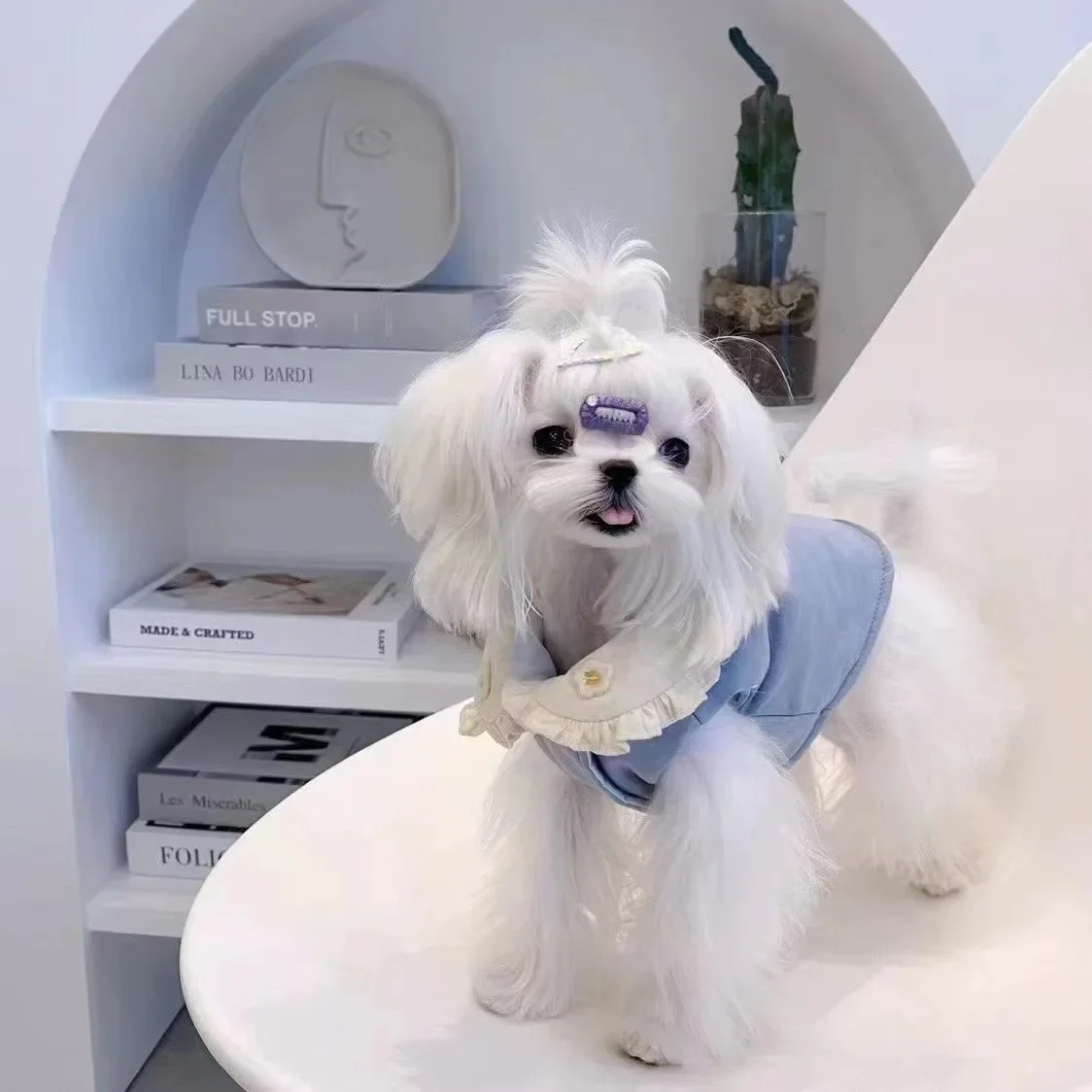 Abrigo de algodón para perro Ins, abrigo para pareja, falda de otoño/invierno para mascotas, chaqueta maltesa para perros pequeños y medianos, ropa para cachorros - imagen 3