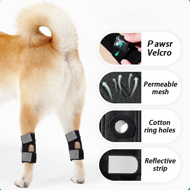 Rodilleras para perros mayores, soporte asistido, rodillera para ejercicio, cubierta de protección para piernas traseras, productos de rodillera de seguridad para perros, suministros para mascotas - imagen 2