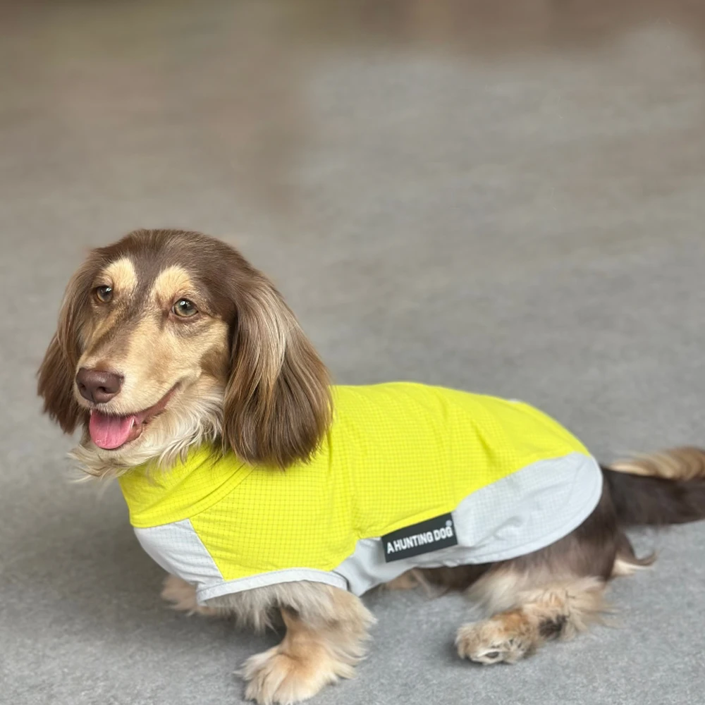 Ropa de protección solar para perros Wiener, abrigo UPF100 transpirable y ligero de verano para perros salchicha, chaqueta rosa para perros tejón - imagen 2