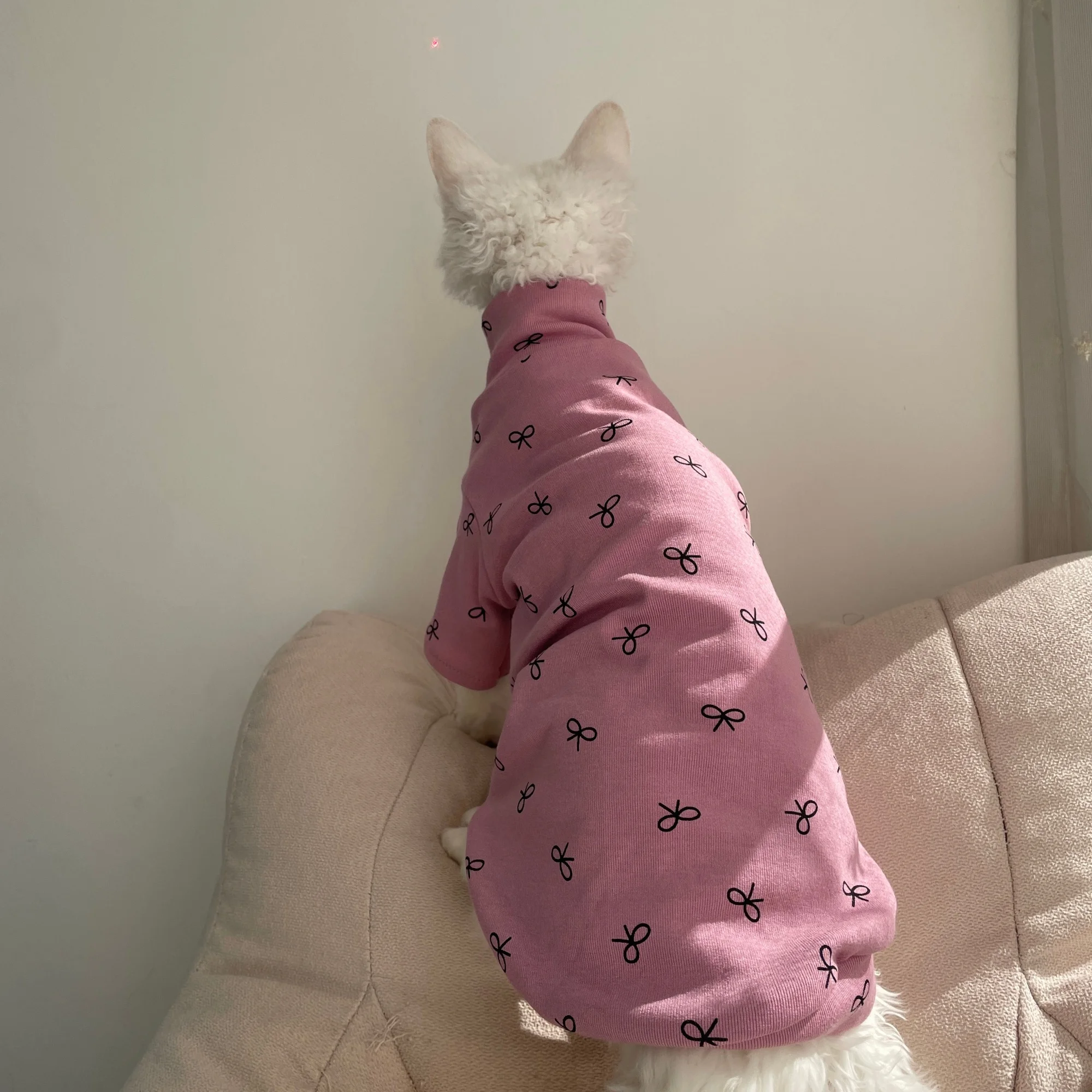 Camiseta algodón rosa para gato Esfinge y Devon Rex – Primavera otoño