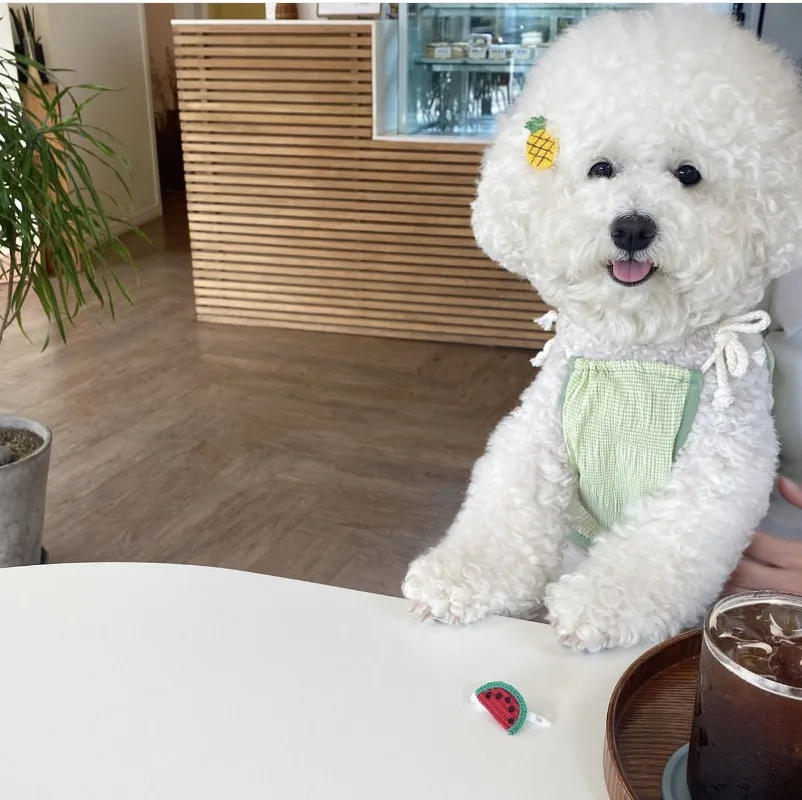 Ins lindo bonito a cuadros tirantes para perros mascota perro verano falda de encaje Teddy Pomeranian princesa falda cachorro lindo vestido de graduación - imagen 2