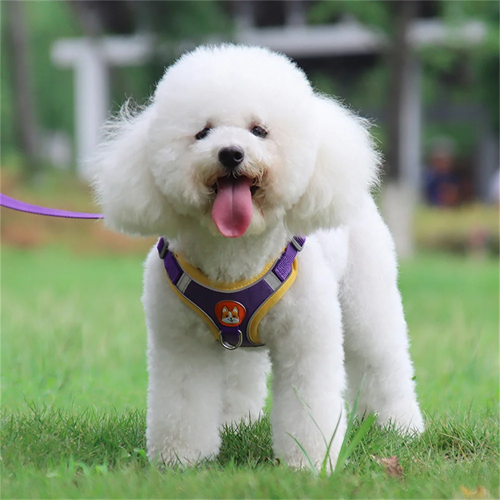 Suede Cat Dog Harness and Leash Set for Small Dogs Cats Chihuahua Pomeranian Puppy Reflective Pet Chest Strap Walking  Supplies - imagen 4