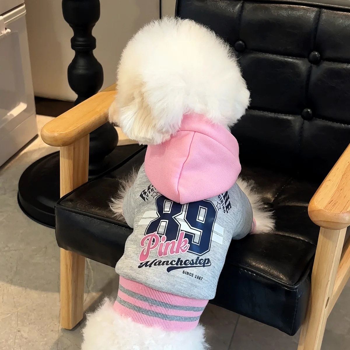 Primavera otoño mascota Color bloqueado sombrero empalme Sudadera con capucha perro grueso cálido mascota remolcable Sudadera con capucha pequeño mediano tamaño perro gato ropa - imagen 3