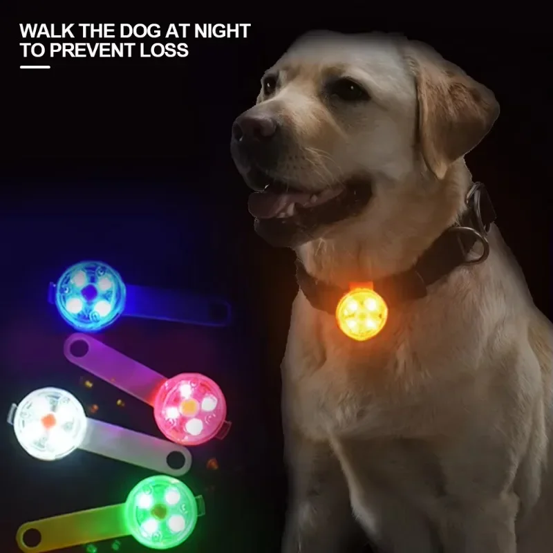 Collar LED recargable para perro, resistente al agua y seguro - imagen 4