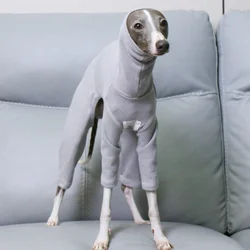 Abrigo invierno para galgo italiano y whippet – Algodón gris