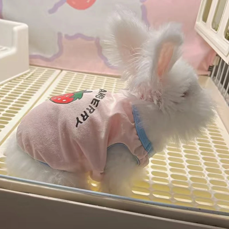 Chaleco de conejo suave y transpirable, ropa de verano para mascotas, gatos, conejos, bonito chaleco sin mangas con estampado de conejito, ropa para animales, productos para mascotas - imagen 5