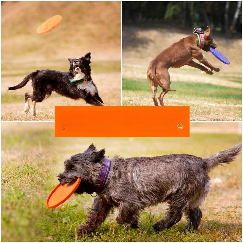 Disco volador para perro – Frisbee de goma resistente y flotante - imagen 4