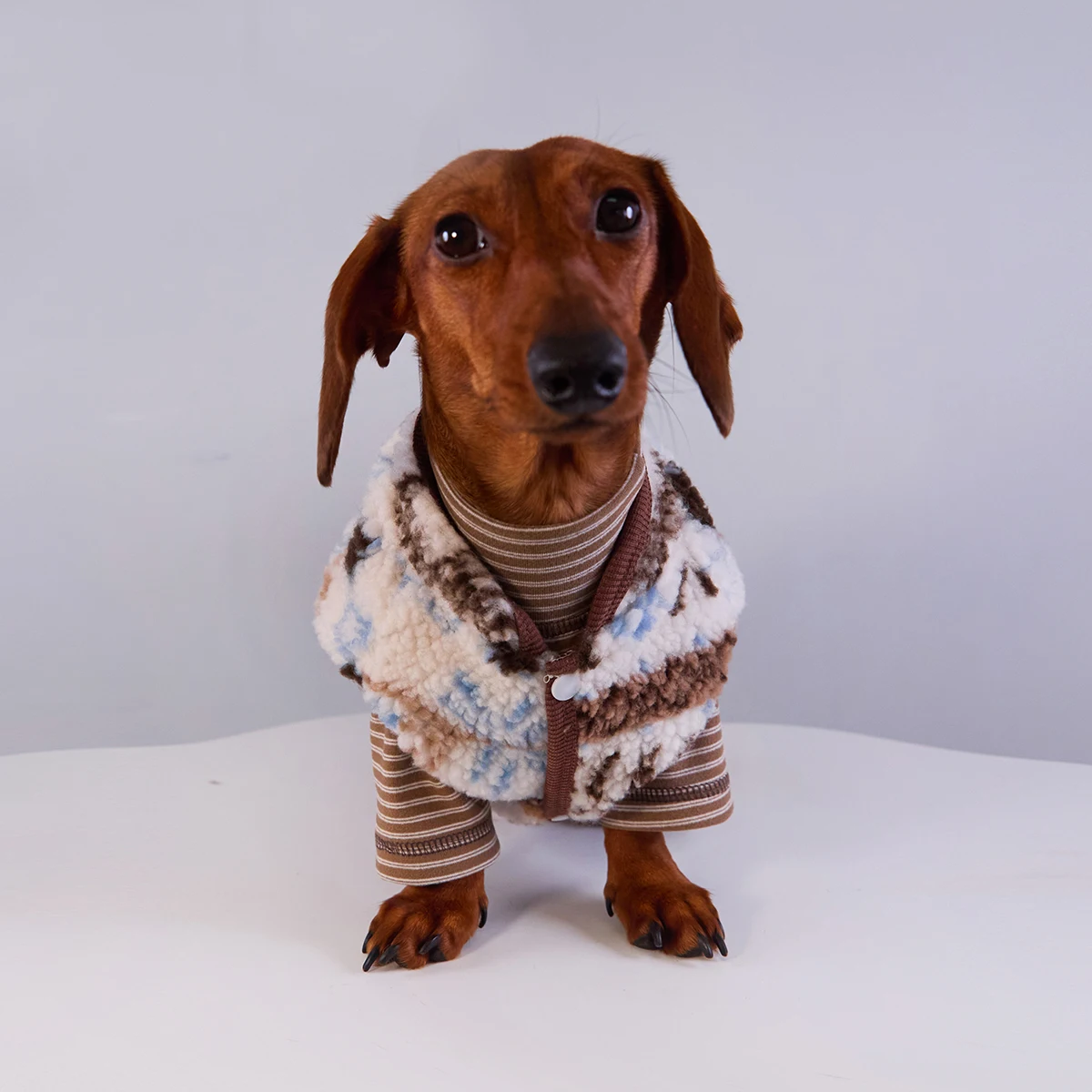 Suéter de lana suave para perros tejón, mono de invierno de manga corta con copos de nieve para perros Wiener, chaleco de invierno para perro salchicha - imagen 2