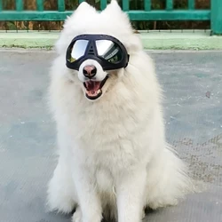 Gafas de sol caniche: ajustables, protección UV y antiviento