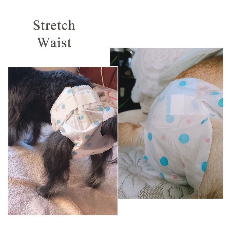 10 unids/pack pañales para perros femeninos pañales desechables para mascotas para gatos perro femenino pantalones menstruales absorbentes transpirables accesorio para perros - imagen 3