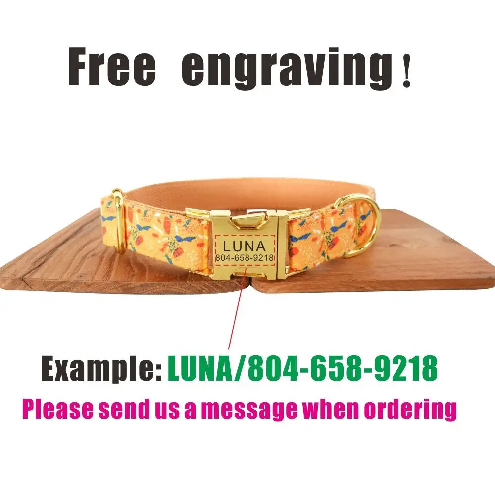 Collar de perro personalizado con grabado gratuito, correa para mascotas a juego, hebilla de Metal de contactos personalizados, Collar para mascotas de pez dorado amarillo - imagen 4