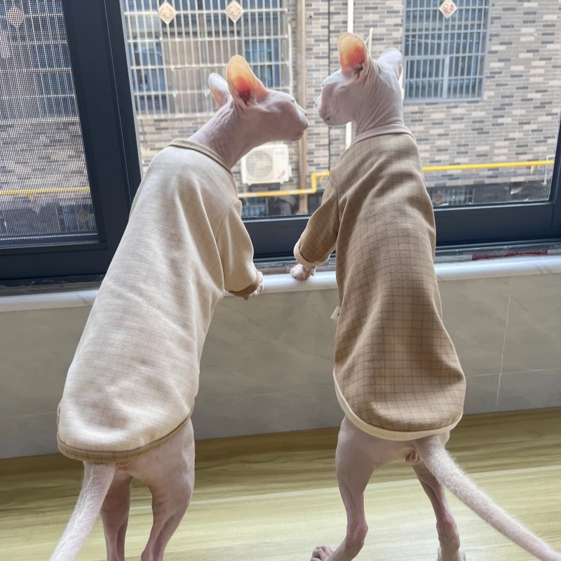 Abrigo de algodón a cuadros caqui para gato Sphynx Camiseta interior suave para gato sin pelo en invierno Abrigo cálido de manga larga para gatitos Devon Rex