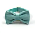 collar with bow