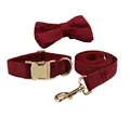 Bow Collar Leash Set