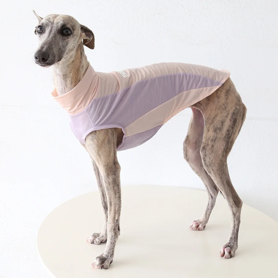 Chaleco ligero con protección solar para galgo italiano - imagen 2