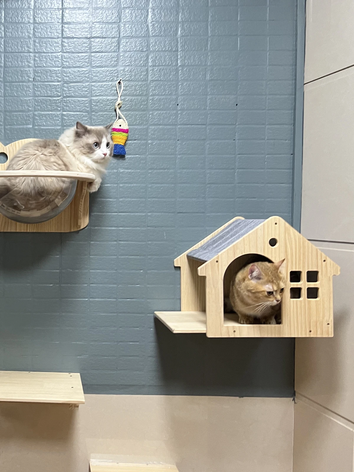 Casa trepadora de pared para gatos, estante para cama, torre de árbol montada en la pared, casa ocultadora, Villa, Castillo para gatos de interior, accesorios para dormir - imagen 5