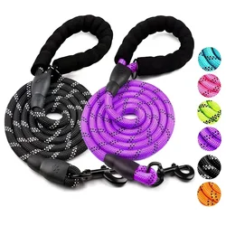 Correa reflectante para Golden Retriever – Segura y resistente