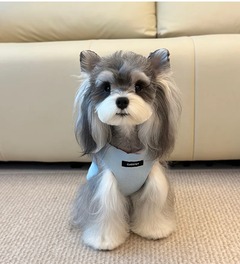 Abrigo de algodón Reversible grueso para mascotas, ropa de otoño e invierno, chaleco de algodón para perros para clima frío, abrigo cálido para perros, chaqueta suave, ropa para mascotas - imagen 5