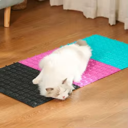 Cepillo de masaje para gatos – rascador autoadhesivo 2 en 1