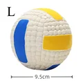 Volleyball-L