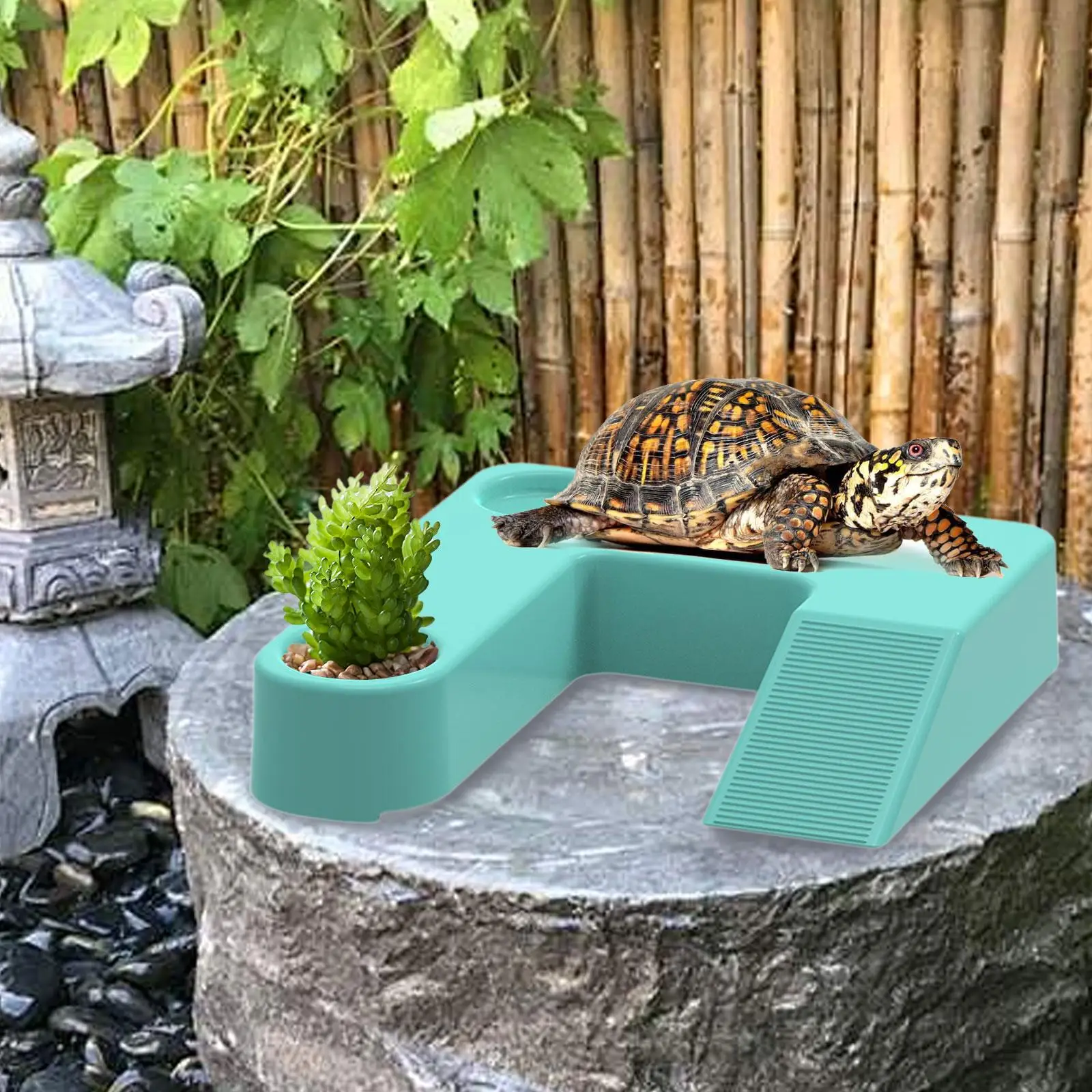 Reptile Ramp Dock Turtle Terrace for Turtles Salamanders Bearded Dragon