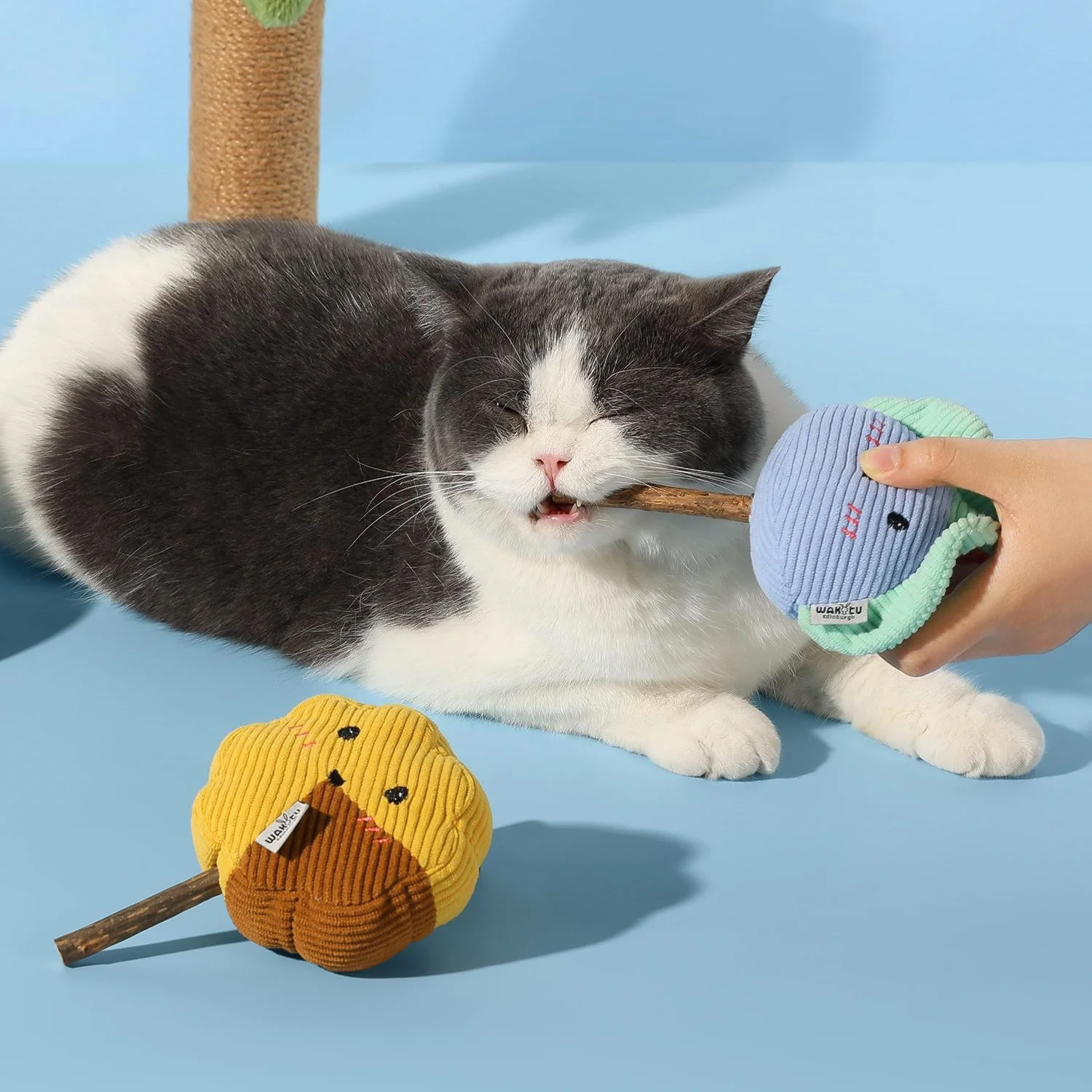 Juguetes de peluche de hierba gatera para gatos, palitos para masticar de Poligono, juguetes para rascar de dentición para gatos, palos de madera Natural, juguetes interactivos para gatos - imagen 3