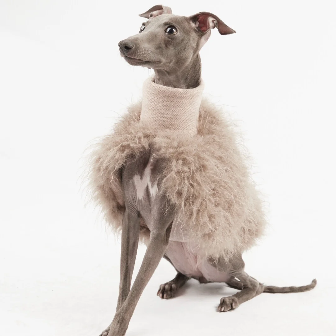 Elegante y cálida chaqueta de capa de felpa para perros en invierno, suéter caqui suave para galgo italiano, abrigo con cintura ajustable para Whippet - imagen 3