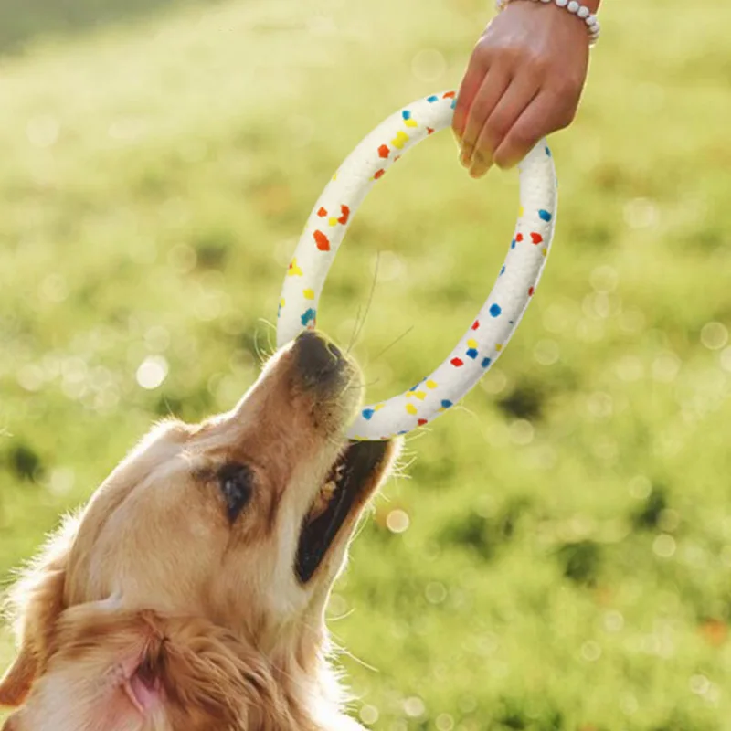 Juguete interactivo con forma de anillo para masticar perros, juguetes de goma de alta elasticidad para mascotas, resistencia a las mordeduras, masticadores agresivos, perros pequeños, medianos y grandes - imagen 3