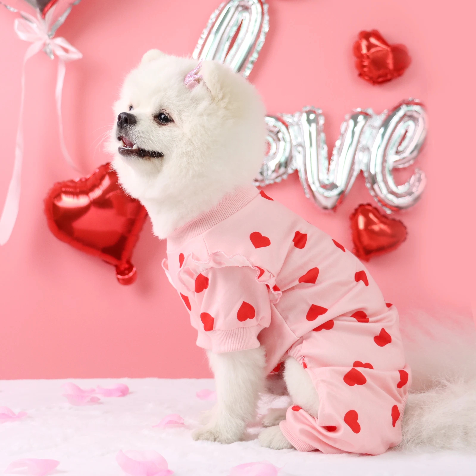 Un perro blanco que lleva un atuendo rosa con corazones