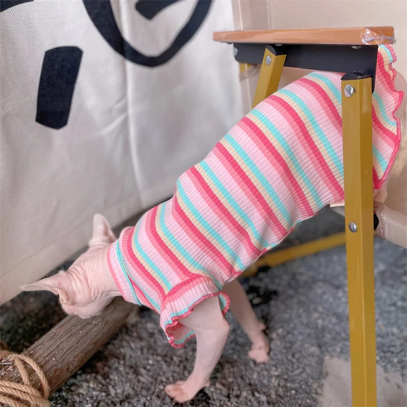 Ropa de gatos Algodón suave Chaleco de color arco iris para Sphnx Gato Mangas cortas con volantes Mono para gatitos Vestido de verano para gatos perros - imagen 5