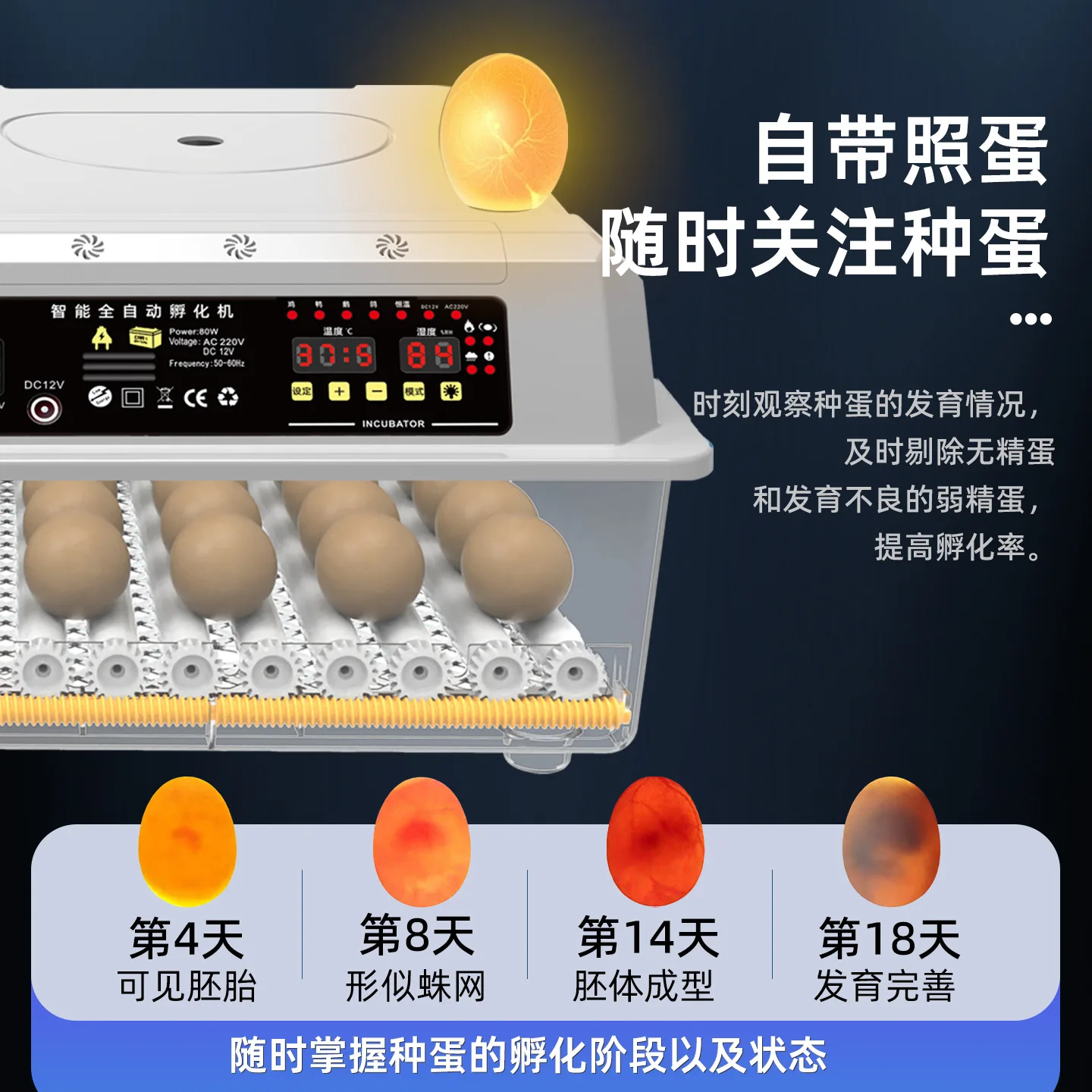 Incubadora automática inteligente para huevos de gallina, pato y ganso - imagen 4