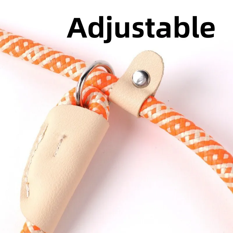 Collar P-ropes para perros con cadena antipérdida