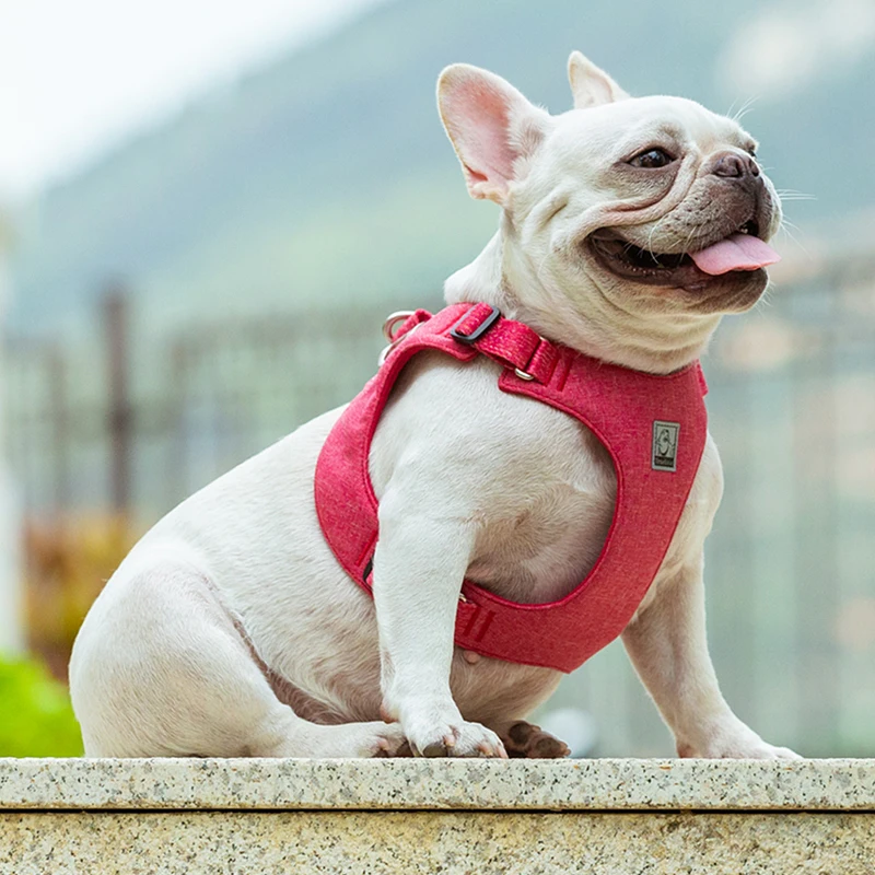 Winhyepet-Chaleco para mascotas, arnés para perros, correas de viaje, luz reflectante, acolchado cómodo, pecho con clip trasero para perros pequeños, Bulldog, cachorro - imagen 5