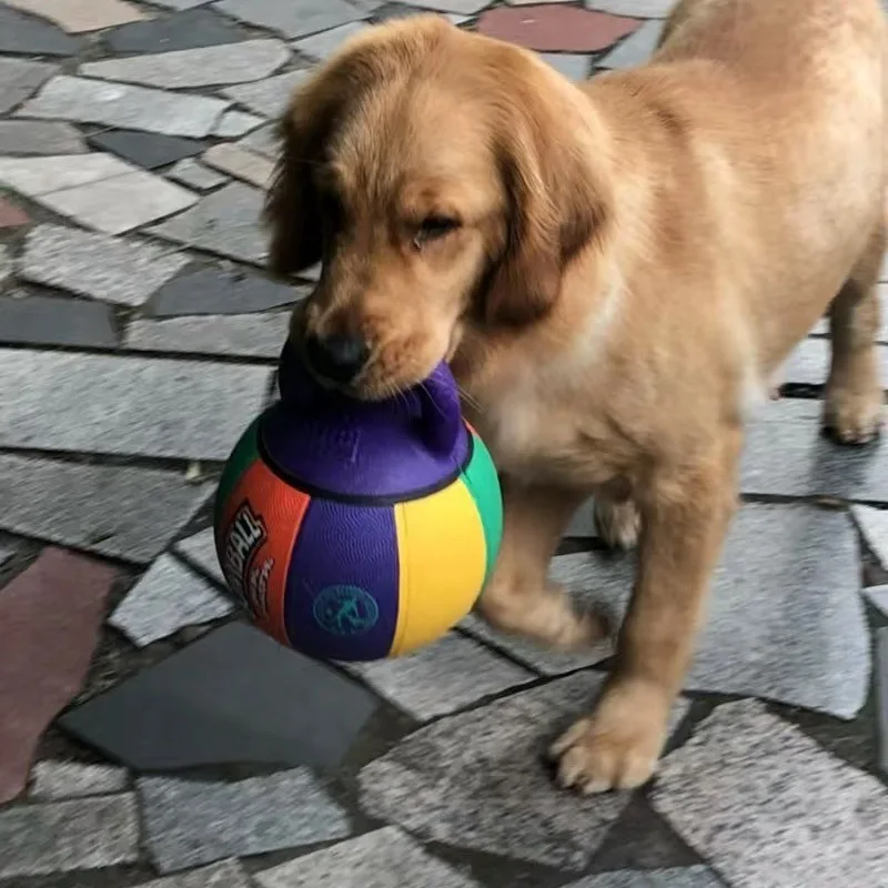 Bola grande resistente a mordeduras para perros, Golden Retriever, Labrador, Alaska, juguete para mascotas, productos para mascotas, juguetes para perros - imagen 2