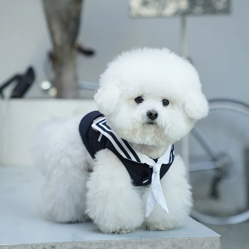 Ropa para mascotas, chaleco, vestido transpirable, Teddy Schnauzer, Top de Color sólido, ropa para perros pequeños, ropa para cachorros - imagen 2