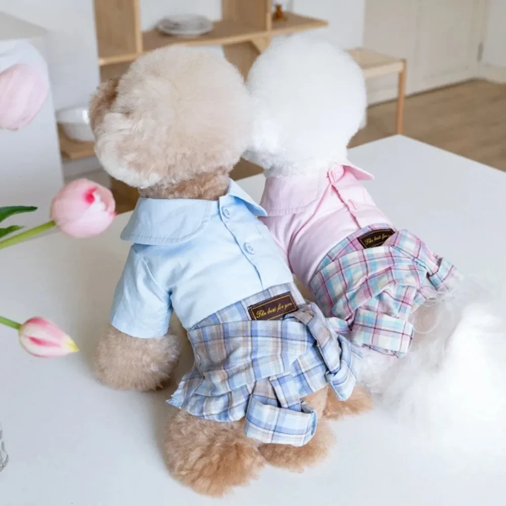 Ropa de estilo Ins para mascotas, falda a cuadros con camisa para mascotas, conjunto de ropa para cachorros, disfraz para perros, Otoño e Invierno - imagen 4