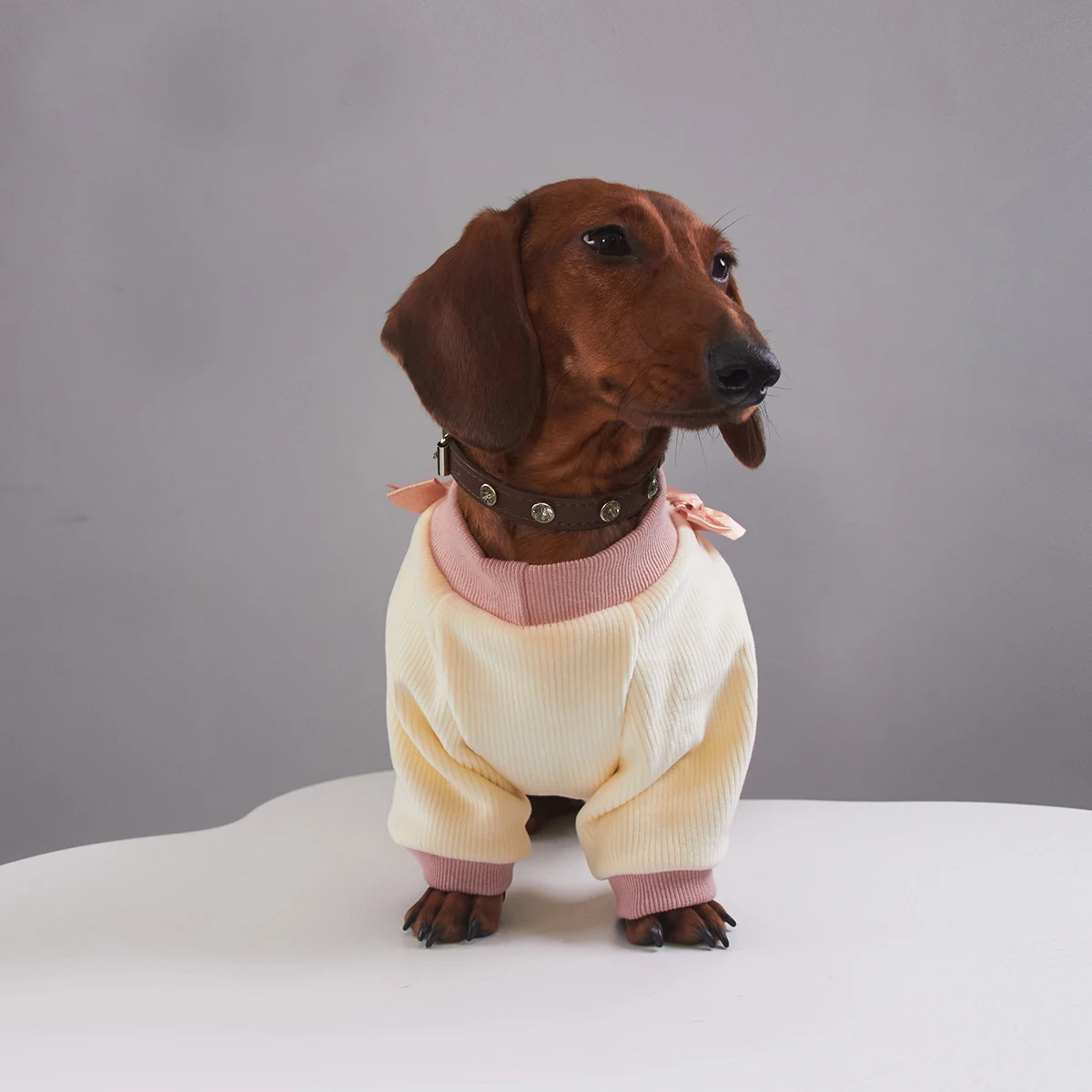 Pijama rosa cálido para perro salchicha – Otoño invierno primavera - imagen 5