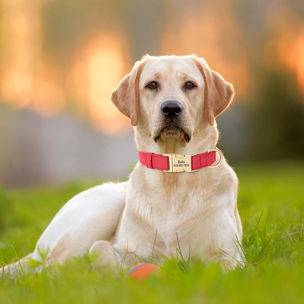 Collar de perro personalizado Collares de cuero PU para perros Collar personalizado para mascotas ajustable para perros pequeños, medianos y grandes Bulldog Pug Rosa - imagen 5